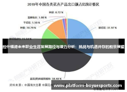 拉什福德未来职业生涯发展路径与潜力分析：挑战与机遇并存的前景展望
