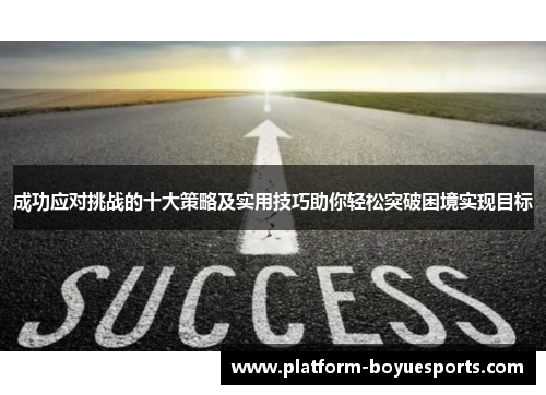 成功应对挑战的十大策略及实用技巧助你轻松突破困境实现目标