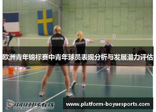 欧洲青年锦标赛中青年球员表现分析与发展潜力评估